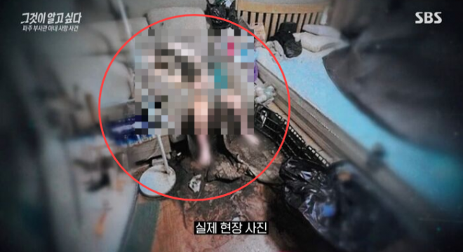 온몸에 구더기가 들끓을 때까지 방치됐다가 숨진 육군 부사관의 아내 A씨가 생전 폭행 피해를 입었을 가능성이 제기됐다. 사진은 11월 17일 구조 당시 A씨의 모습. 2025.12.13 SBS ‘그것이 알고 싶다’ 화