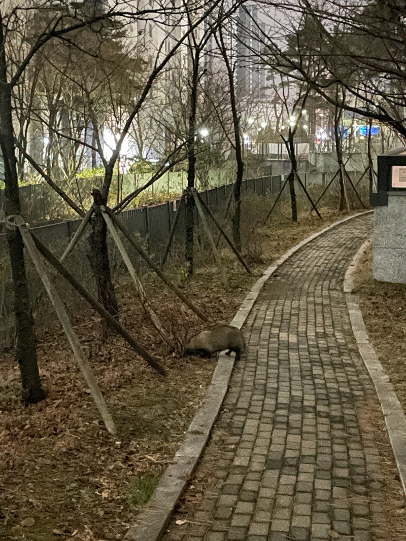 2025-12-20 01.54.38.jpg