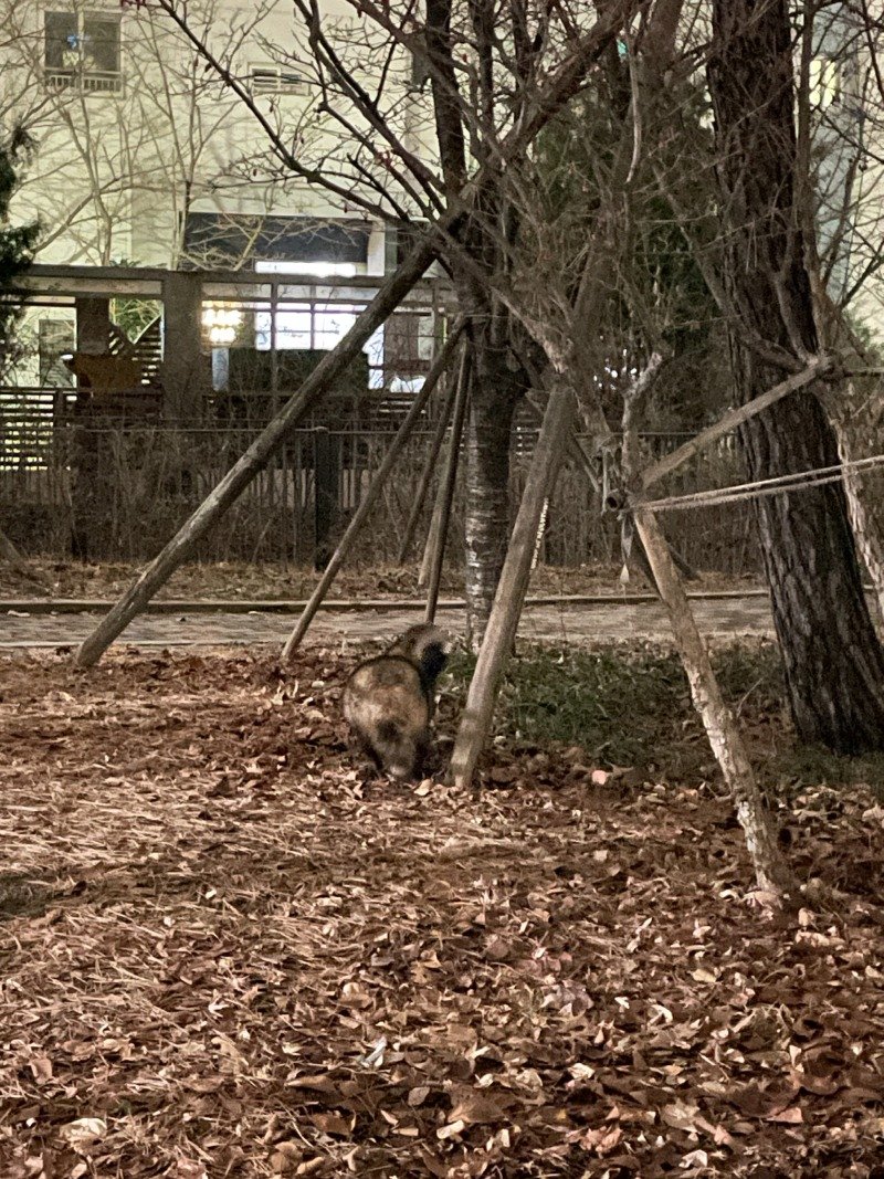 2025-12-20 01.54.09.jpg