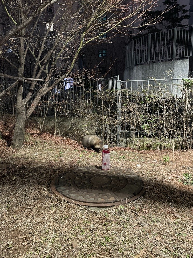 2025-12-20 01.57.29.jpg