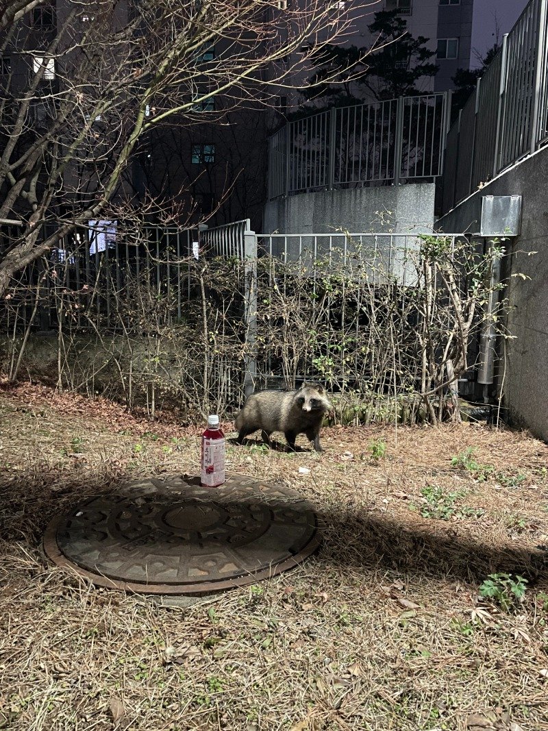 2025-12-20 01.57.33.jpg