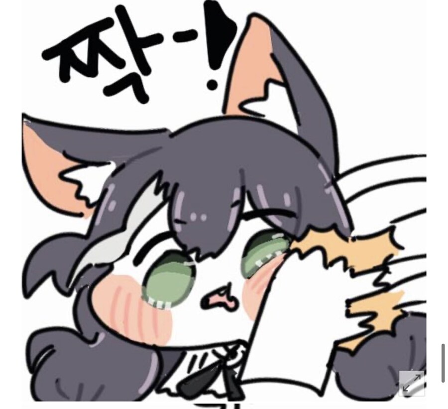도로롱이 체급이 다르다고 생각하는 이유_1.png