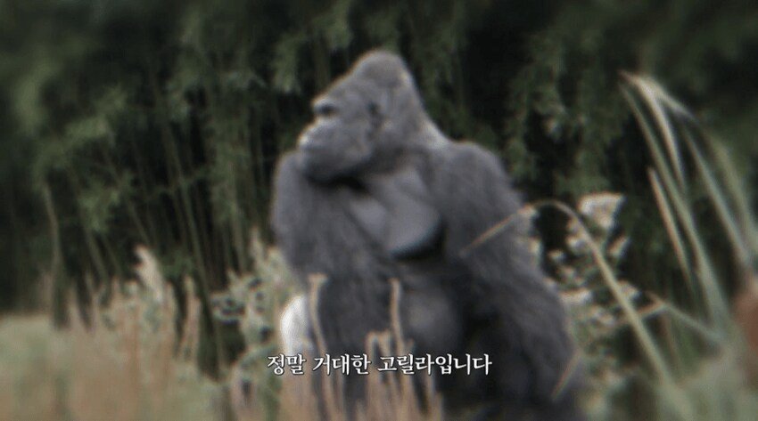 20250919073854_1zPs60glfC.png