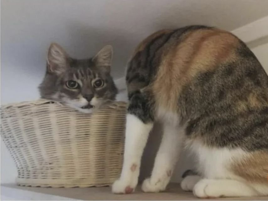 본문 이미지 (6).jpg