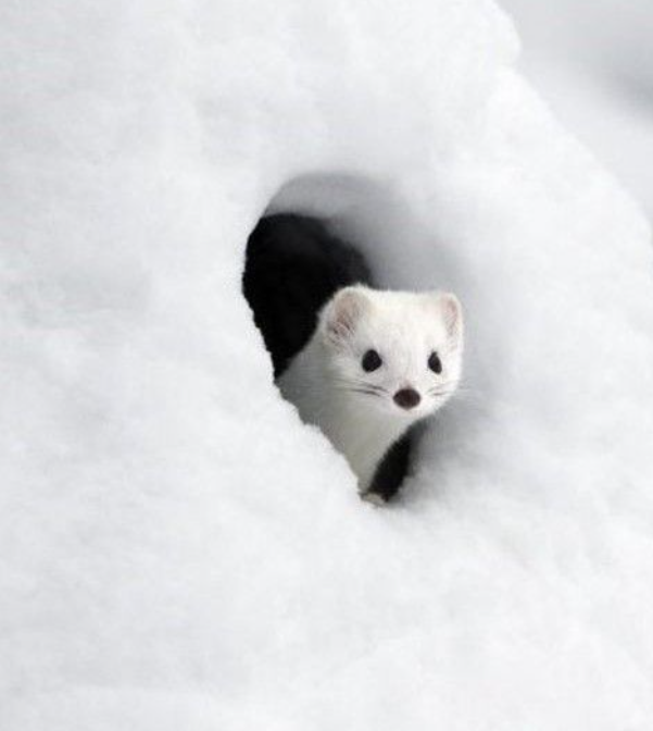 이미지를 불러오는데 실패했습니다.