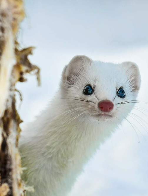 이미지를 불러오는데 실패했습니다.