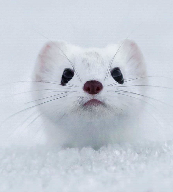 이미지를 불러오는데 실패했습니다.