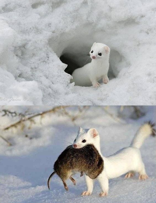 이미지를 불러오는데 실패했습니다.