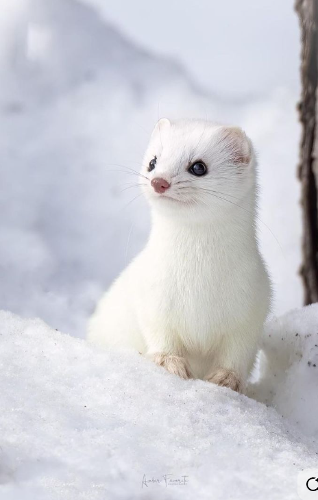 이미지를 불러오는데 실패했습니다.