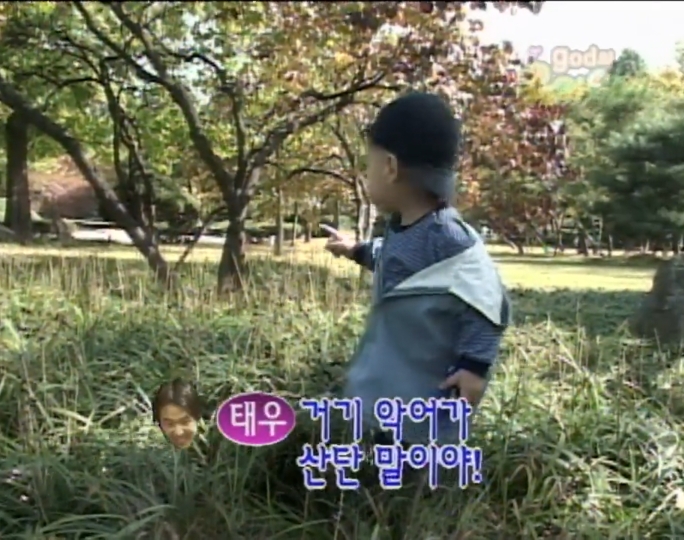 9c011ad61c289a303f548f73690030374941d1ca