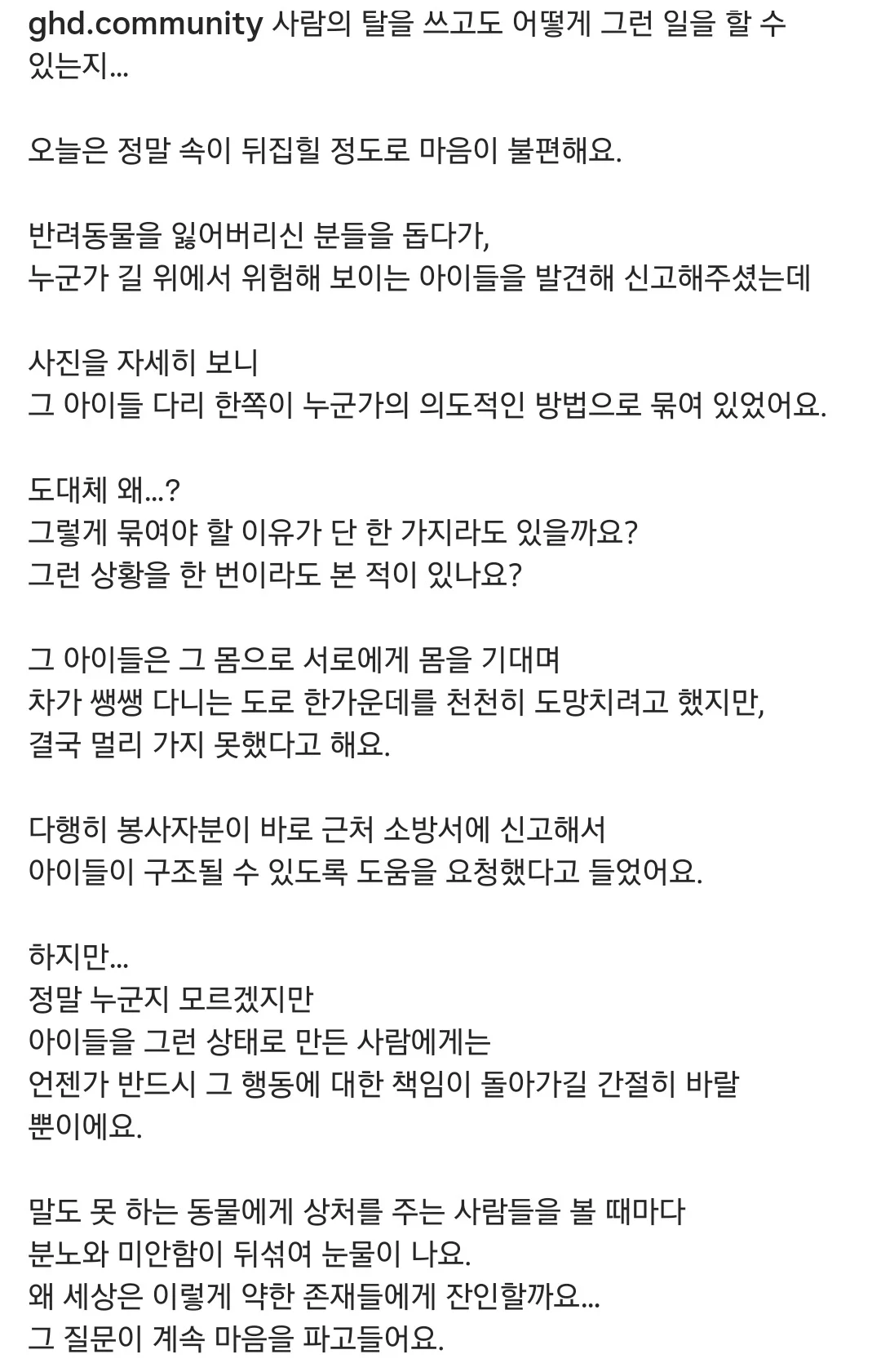 클릭하시면 원본 이미지를 보실 수 있습니다.
