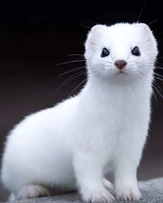 이미지를 불러오는데 실패했습니다.