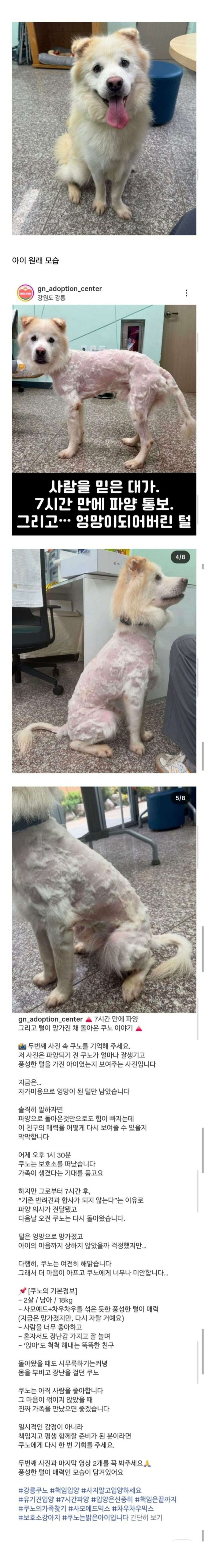 클릭하시면 원본 이미지를 보실 수 있습니다.