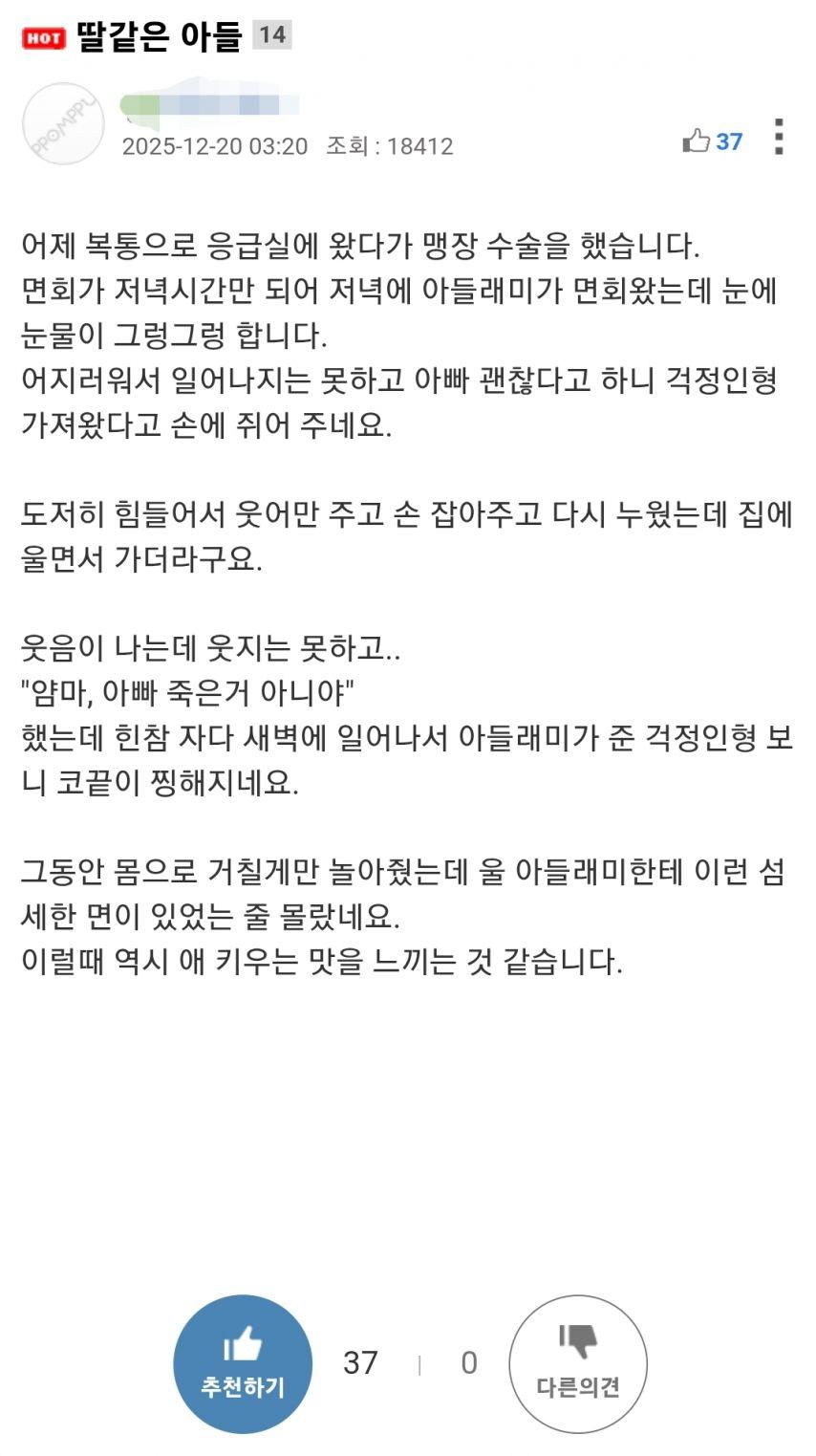 클릭하시면 원본 이미지를 보실 수 있습니다.