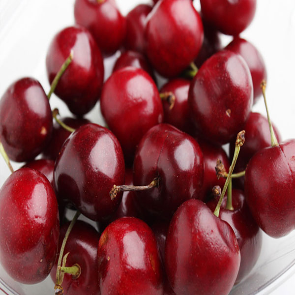 생체리 1kg 9-9.5row - 오아시스마켓::믿을 수 있는 먹거리